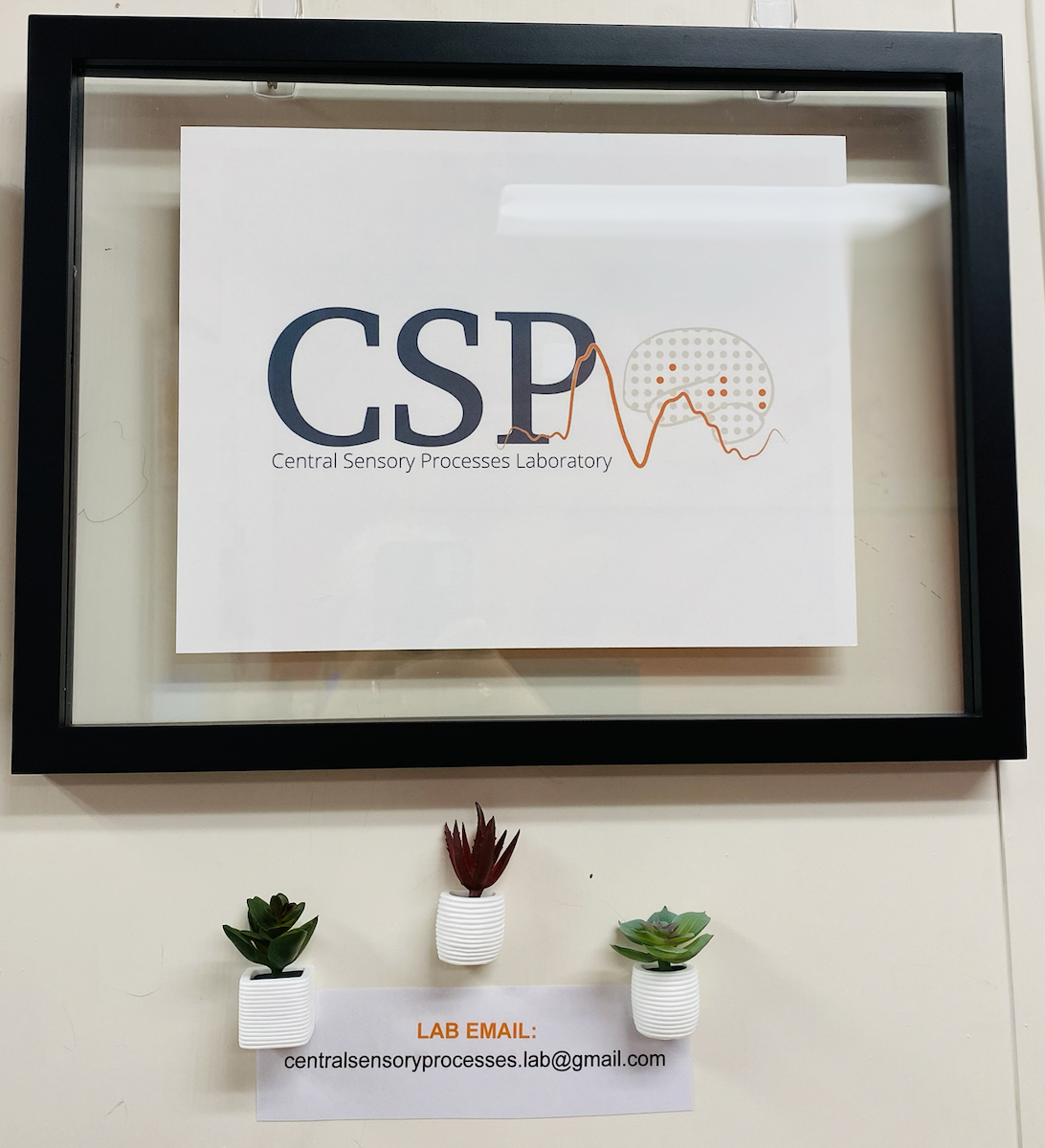 framed photo of the CSP lab logo 