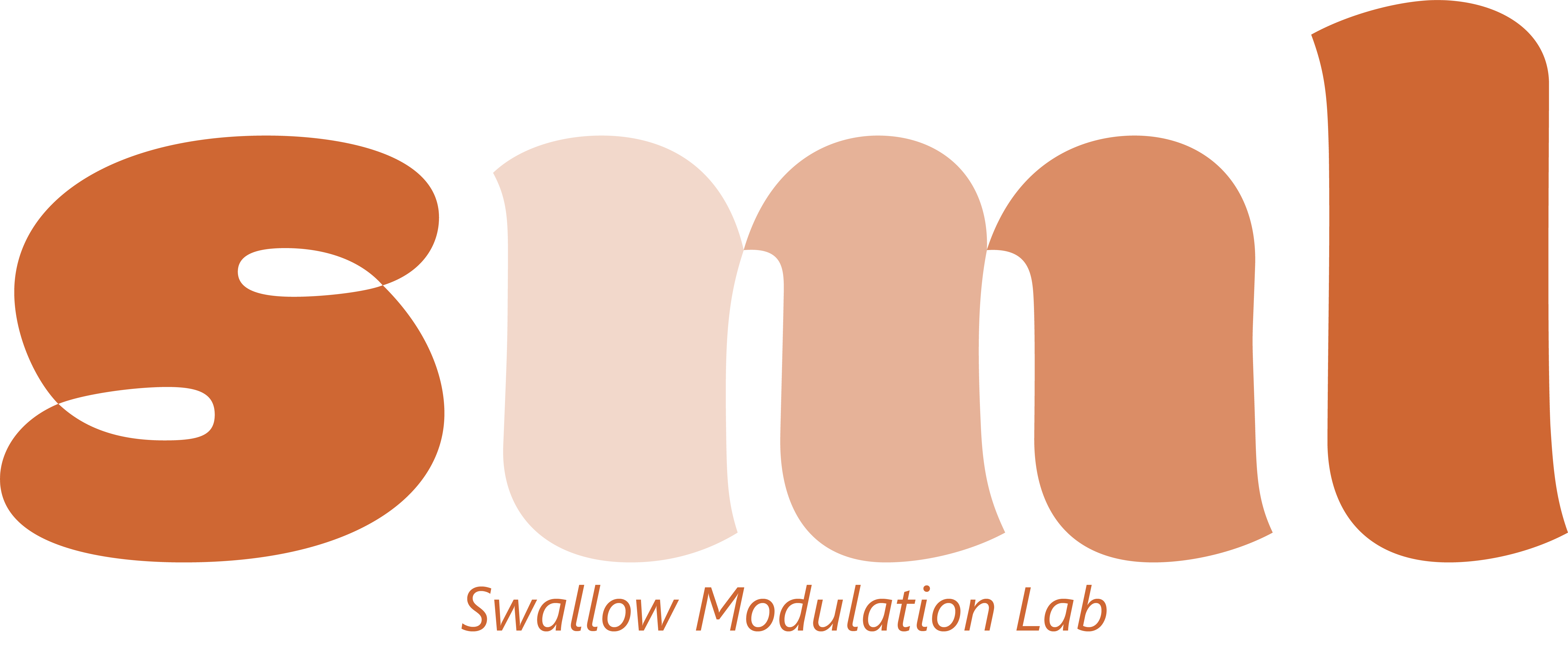 Swallow Modulation Lab