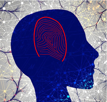 fingerprint in the brain
