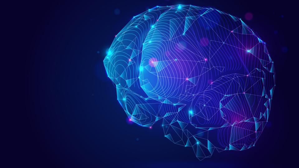 Illustration of a human brain with blue and purple connected lines