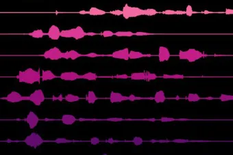 Sound waveforms from English sentences used in our studies
