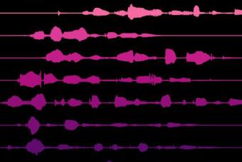 Sound waveforms from English sentences used in our studies