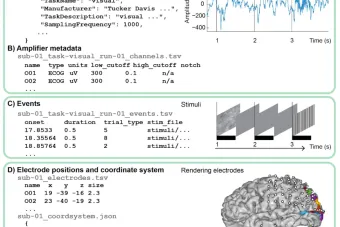 Schematic of the BIDS-iEEG data structure for sharing information about intracranial EEG data, including event times, electrode positions, and metadata.