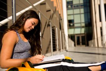 studying bridge