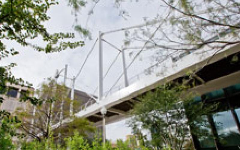 The Moody College bridge